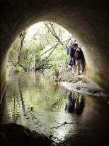 Railway 'tunnel'