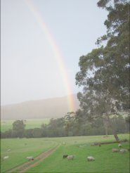 Rainbow on Mt Hallowell - 20Kb