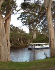 ferry on river